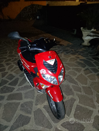 Peugeot speedfight 2