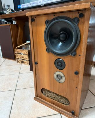 B&w dm2 monitor