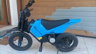 Moto elettrica
