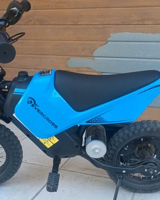 Moto elettrica