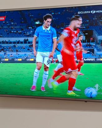 Tv Samsung 49' smart  DVB-T2  
