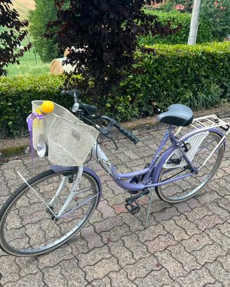 Bicicletta da passeggio