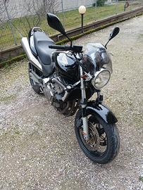 moto honda hornet 600