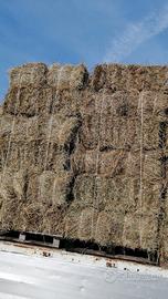 BALLETTE FIENO E PAGLIA 