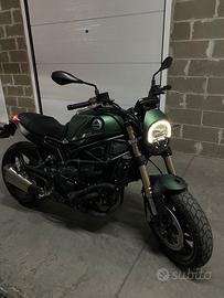 Benelli Leoncino 800