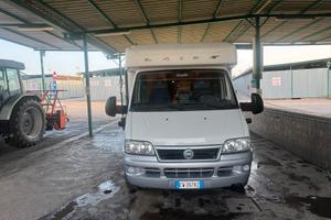 Camper laika