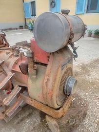 Motocoltivatore Pasquali 