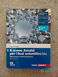 1 Il nuovo Amaldi per i licei scientifici.blu
