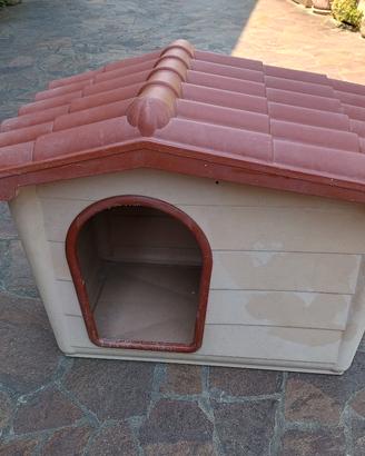 cuccia per cane
