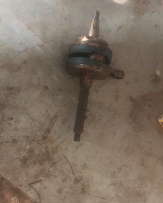 albero motore top racing piaggio zip sp 