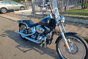 softail custom nuovo 5800 km
