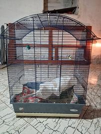 GABBIA IMAC COMPLETA DI PIEDISTALLO 