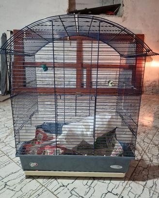 GABBIA IMAC COMPLETA DI PIEDISTALLO 