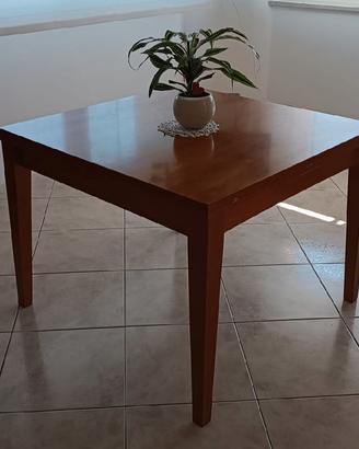 Tavolo e sedie