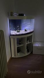 Acquario
