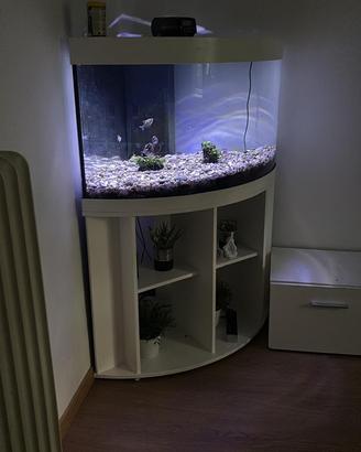 Acquario