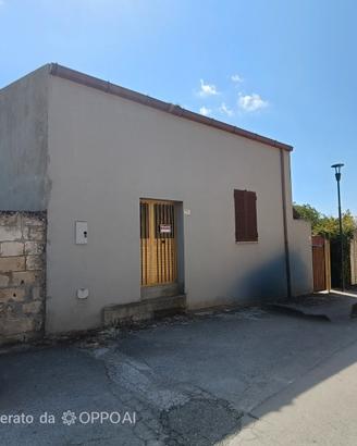 magazzino con cantina  e sottotetto 