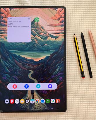 Galaxy tab S8 14,6 pollici perfette condizioni 