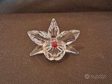 Swarovski orchidea