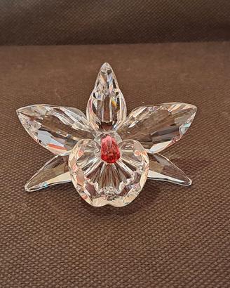 Swarovski orchidea