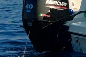 MERCURY 40/70 PRO 140 ORE SMARTCRAFT