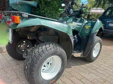 Kawasaki brute force 650
