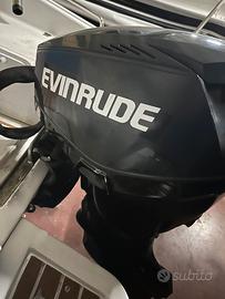 Evinrude 40/60