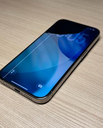 IPhone 15 Pro 256GB Titanio Naturale display rotto