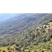 Compendio immobiliare , HA 63 totale di terreno