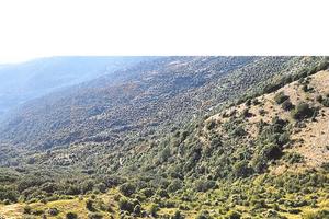 Compendio immobiliare , HA 63 totale di terreno