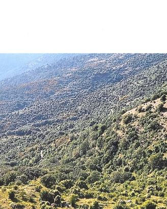 Compendio immobiliare , HA 63 totale di terreno