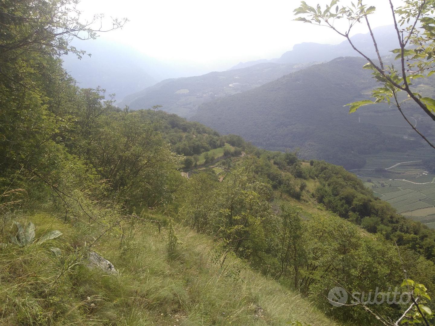 Terreno agricolo - Vista 2
