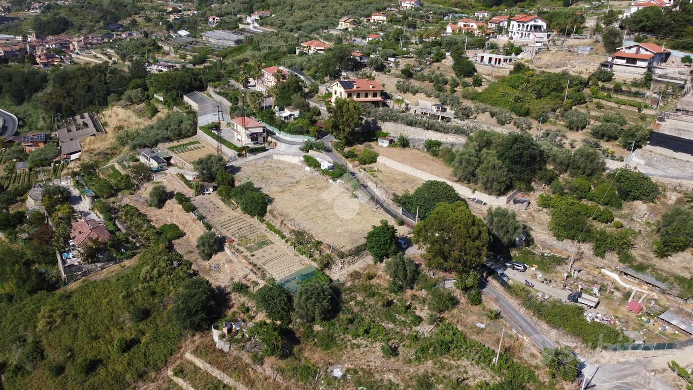 TER. AGRICOLO A VALLECROSIA AL MARE - Vista 2