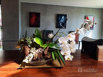  Composizione orchidee  in tronco d'albero 