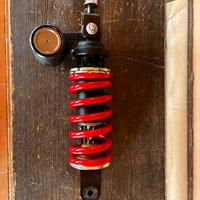 Monoammortizzatore  Showa Triumph 765 2024