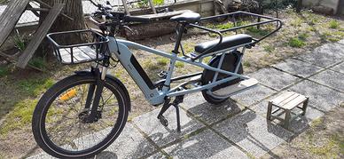 Bici Cargo 