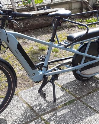 Bici Cargo 