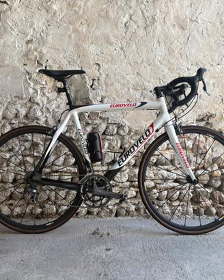 Bici da corsa in carbonio – Taglia 58