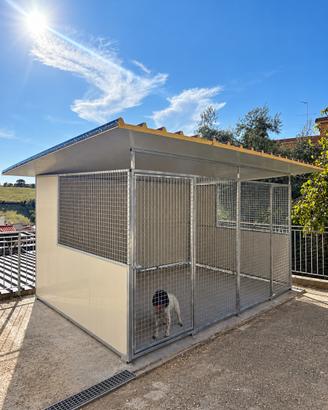 Box per cani zincati – modulari e su misura