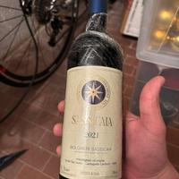 Sassicaia 2021