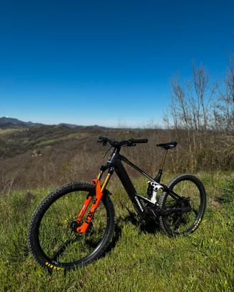 Orbea Wild M-team 2025