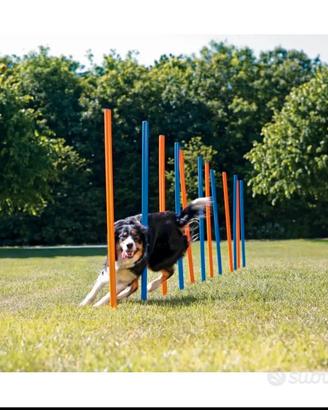 Trixie Gioco Slalom Agility per Cane