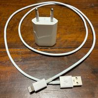 Caricabatterie Apple originale