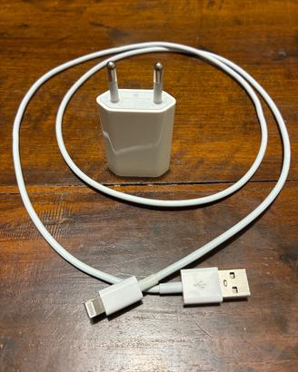 Caricabatterie Apple originale