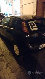 Fiat punto evo 75 CV per neopatentati 