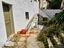 Immagine 7