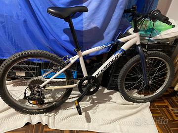 Rokrider st 100 20 pollici