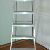Scala doppia in Alluminio