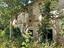 Immagine 3