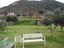 Immagine 12